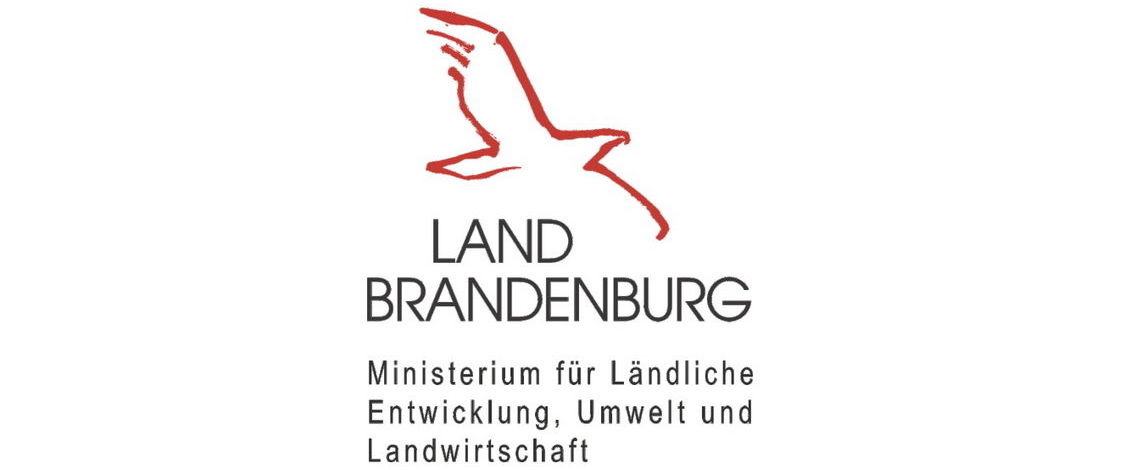 Dieses Projekt ist kofinanziert mit Mitteln des Landes Brandenburg.