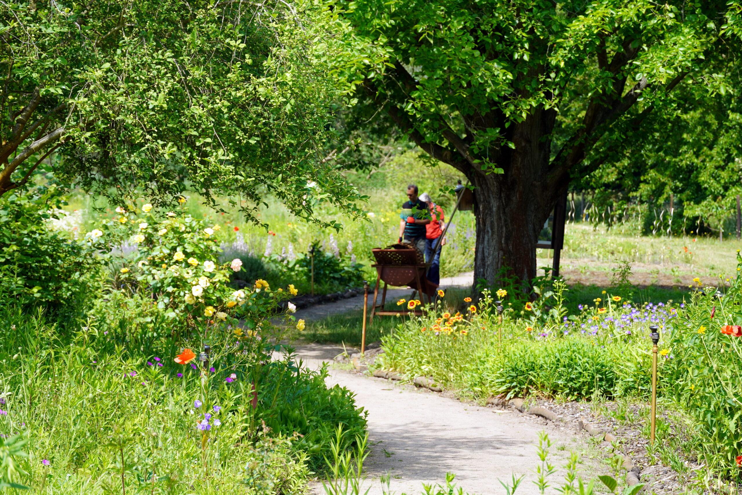 Besucher im blühenden Garten der Spreewald Kräuterey.