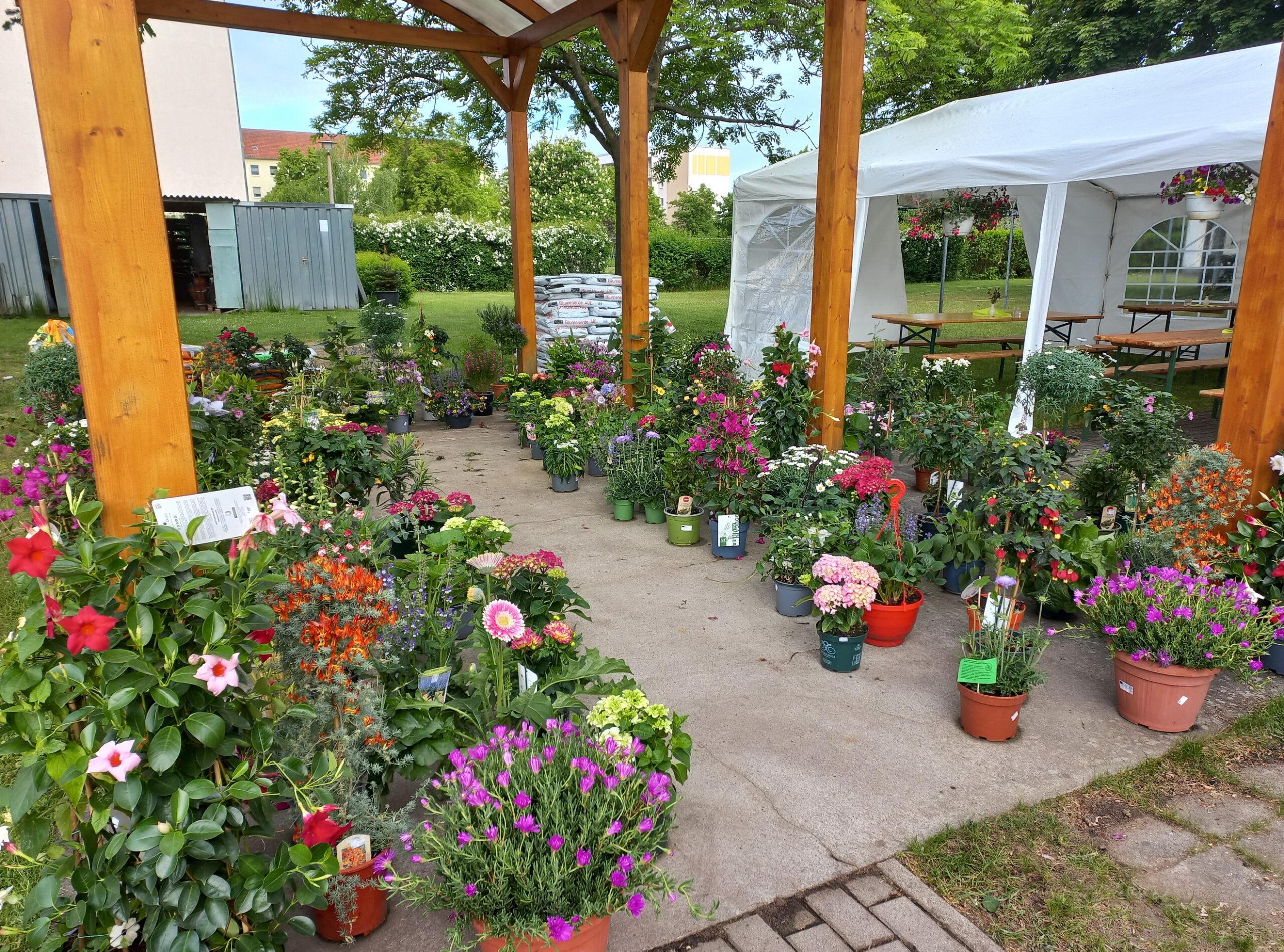 Beim Gartentag in Guben.