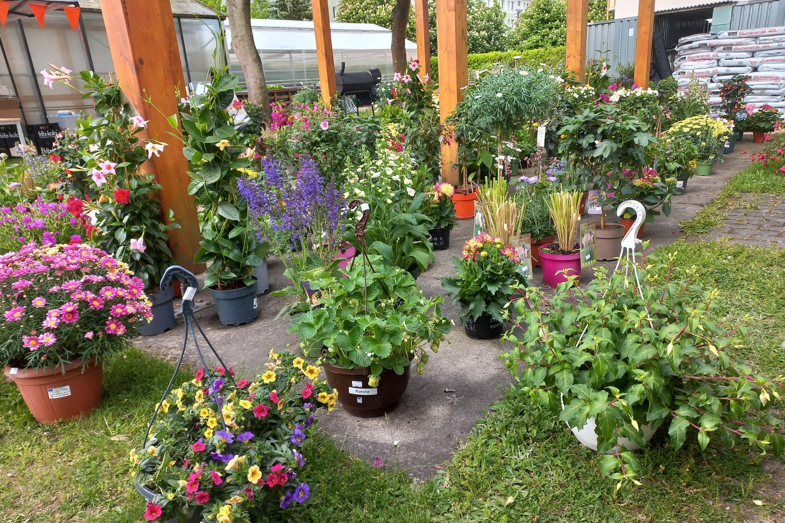 Gartenmarkt in Guben.